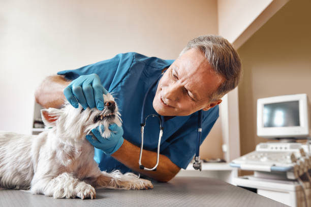 Best Tooth Infection Emergency Dentist  in Hartsville, TN